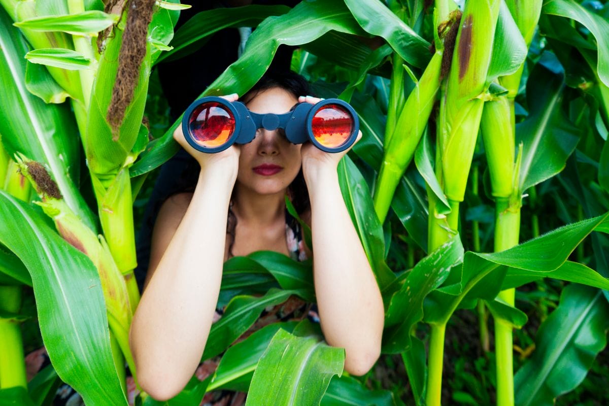 200 Rotterdammers met diabetes type 2 gezocht